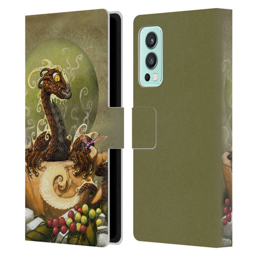 Stanley Morrison Art Brown Coffee Dragon Dragonfly Leather Book Wallet Case Cover For OnePlus Nord 2 5G