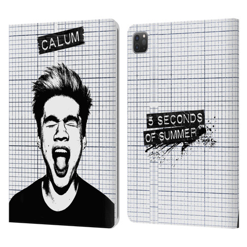 5 Seconds of Summer Solos Grained Calum Leather Book Wallet Case Cover For Apple iPad Pro 11 2020 / 2021 / 2022