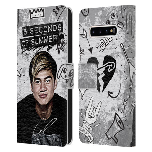 5 Seconds of Summer Solos Vandal Calum Leather Book Wallet Case Cover For Samsung Galaxy S10+ / S10 Plus