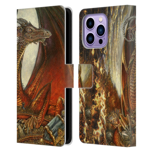 Myles Pinkney Mythical Treasure Dragon Leather Book Wallet Case Cover For Apple iPhone 14 Pro Max