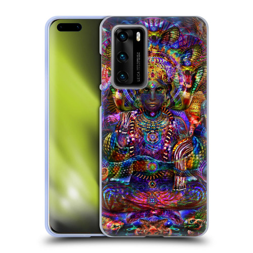 Jumbie Art Gods and Goddesses Vishnu Soft Gel Case for Huawei P40 5G