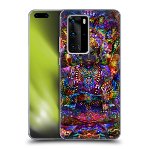 Jumbie Art Gods and Goddesses Vishnu Soft Gel Case for Huawei P40 Pro / P40 Pro Plus 5G