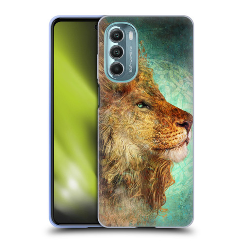 Jena DellaGrottaglia Animals Lion Soft Gel Case for Motorola Moto G Stylus 5G (2022)