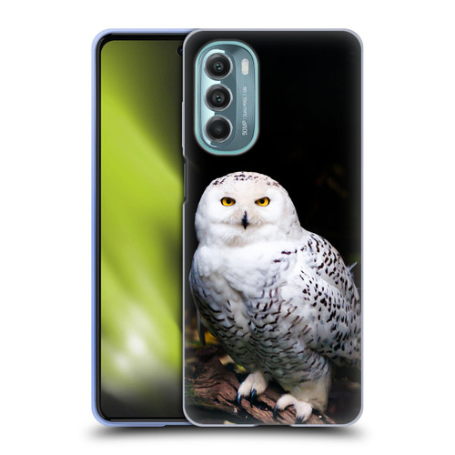 Patrik Lovrin Animal Portraits Majestic Winter Snowy Owl Soft Gel Case for Motorola Moto G Stylus 5G (2022)