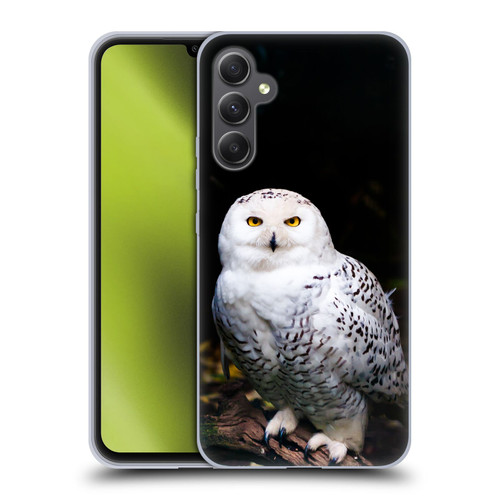 Patrik Lovrin Animal Portraits Majestic Winter Snowy Owl Soft Gel Case for Samsung Galaxy A34 5G