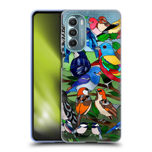 Suzan Lind Birds Stained Glass Soft Gel Case for Motorola Moto G Stylus 5G (2022)