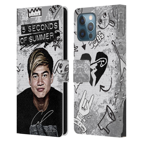 5 Seconds of Summer Solos Vandal Calum Leather Book Wallet Case Cover For Apple iPhone 12 Pro Max