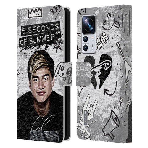 5 Seconds of Summer Solos Vandal Calum Leather Book Wallet Case Cover For Xiaomi 12T Pro