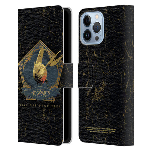 Hogwarts Legacy Graphics Golden Snidget Leather Book Wallet Case Cover For Apple iPhone 13 Pro Max
