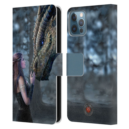 Anne Stokes Dragon Friendship Once Upon A Time Leather Book Wallet Case Cover For Apple iPhone 12 / iPhone 12 Pro