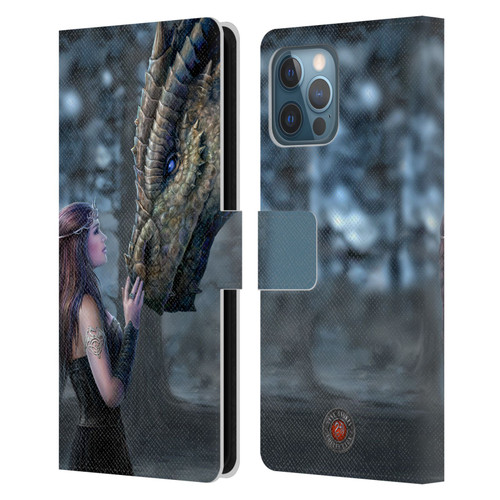 Anne Stokes Dragon Friendship Once Upon A Time Leather Book Wallet Case Cover For Apple iPhone 12 Pro Max