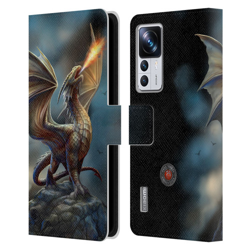Anne Stokes Dragons Noble Leather Book Wallet Case Cover For Xiaomi 12T Pro