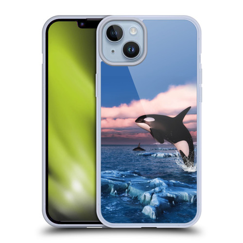 Simone Gatterwe Life In Sea Killer Whales Soft Gel Case for Apple iPhone 14 Plus