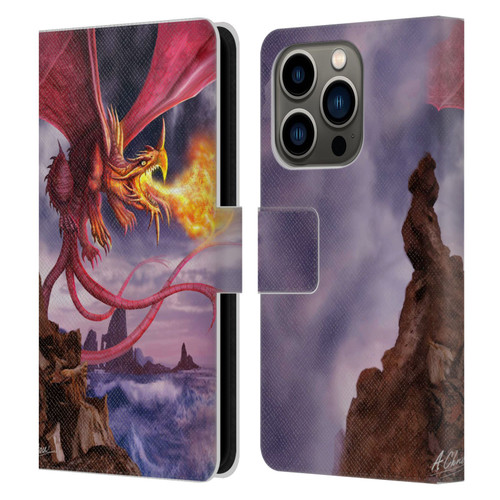 Anthony Christou Art Fire Dragon Leather Book Wallet Case Cover For Apple iPhone 14 Pro
