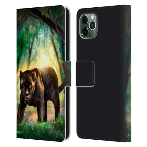 Anthony Christou Fantasy Art Black Panther Leather Book Wallet Case Cover For Apple iPhone 11 Pro Max
