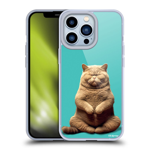 P.D. Moreno Furry Fun Artwork Sitting Cat Soft Gel Case for Apple iPhone 13 Pro