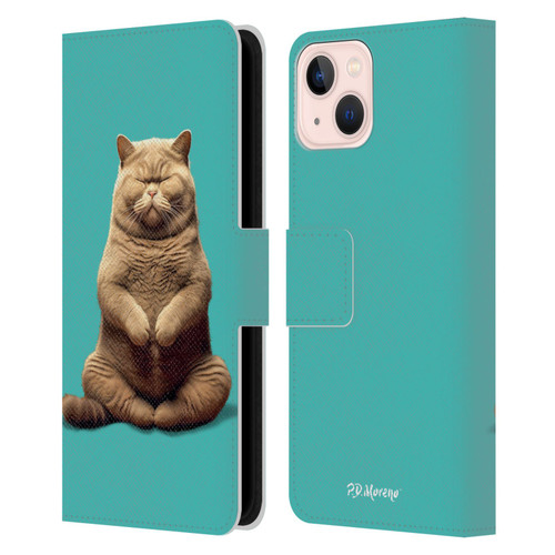 P.D. Moreno Furry Fun Artwork Sitting Cat Leather Book Wallet Case Cover For Apple iPhone 13