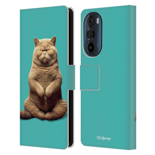 P.D. Moreno Furry Fun Artwork Sitting Cat Leather Book Wallet Case Cover For Motorola Edge 30