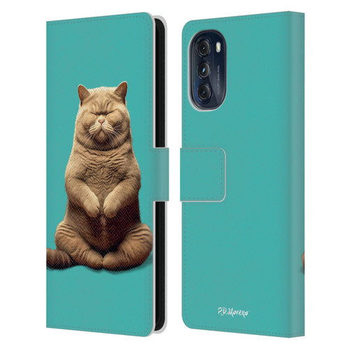 P.D. Moreno Furry Fun Artwork Sitting Cat Leather Book Wallet Case Cover For Motorola Moto G (2022)