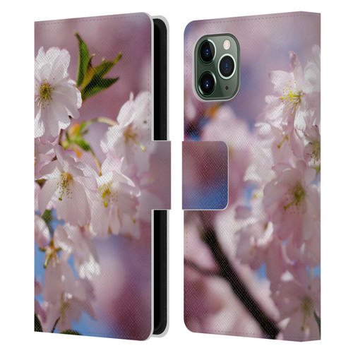 PLdesign Flowers And Leaves Spring Blossom Leather Book Wallet Case Cover For Apple iPhone 11 Pro