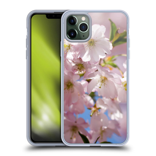 PLdesign Flowers And Leaves Spring Blossom Soft Gel Case for Apple iPhone 11 Pro Max