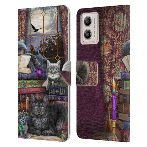 Brigid Ashwood Cats Storytime Cats And Books Leather Book Wallet Case Cover For Motorola Moto G53 5G