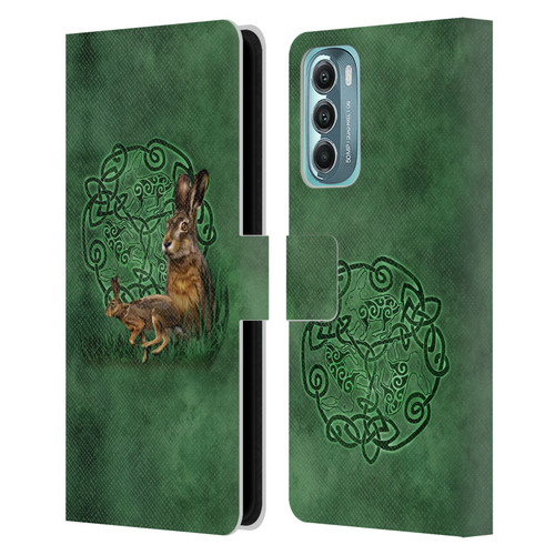 Brigid Ashwood Celtic Wisdom 2 Hare Leather Book Wallet Case Cover For Motorola Moto G Stylus 5G (2022)