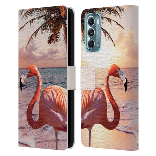 Random Galaxy Mixed Designs Flamingos & Palm Trees Leather Book Wallet Case Cover For Motorola Moto G Stylus 5G (2022)