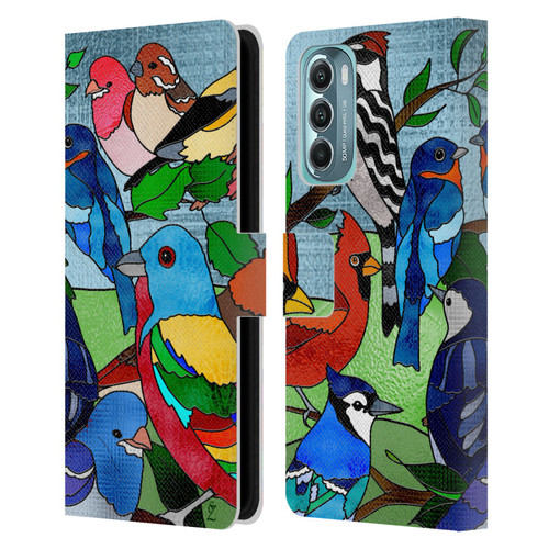 Suzan Lind Birds Stained Glass Leather Book Wallet Case Cover For Motorola Moto G Stylus 5G (2022)