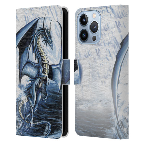 Ruth Thompson Dragons 2 Spirit of the Ice Leather Book Wallet Case Cover For Apple iPhone 13 Pro