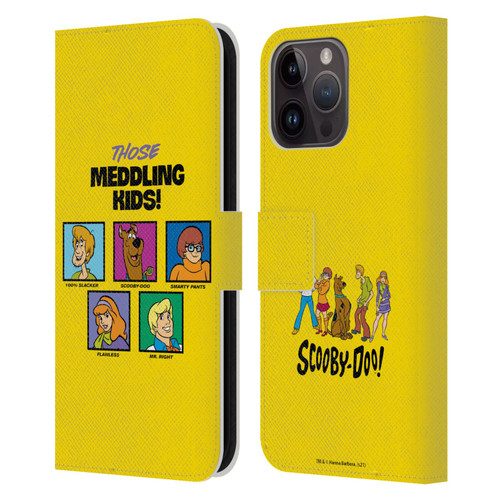 Scooby-Doo Mystery Inc. Meddling Kids Leather Book Wallet Case Cover For Apple iPhone 15 Pro Max