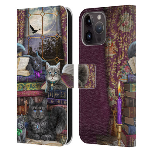 Brigid Ashwood Cats Storytime Cats And Books Leather Book Wallet Case Cover For Apple iPhone 15 Pro Max