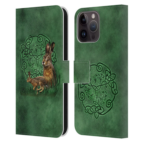 Brigid Ashwood Celtic Wisdom 2 Hare Leather Book Wallet Case Cover For Apple iPhone 15 Pro Max