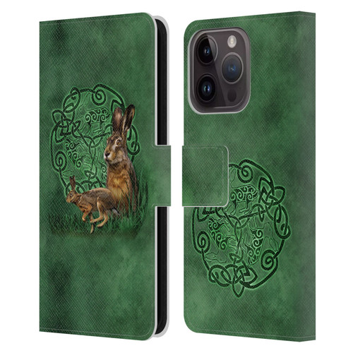 Brigid Ashwood Celtic Wisdom 2 Hare Leather Book Wallet Case Cover For Apple iPhone 15 Pro