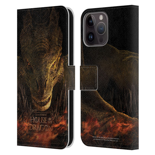 House Of The Dragon: Television Series Art Syrax Poster Leather Book Wallet Case Cover For Apple iPhone 15 Pro Max