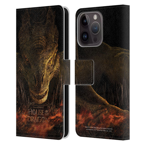 House Of The Dragon: Television Series Art Syrax Poster Leather Book Wallet Case Cover For Apple iPhone 15 Pro