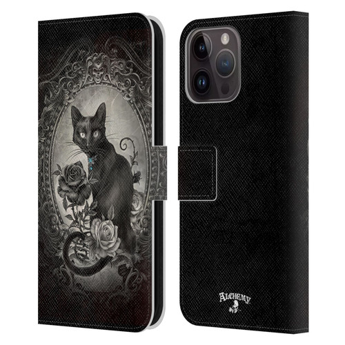 Alchemy Gothic Cats Paracelsus Leather Book Wallet Case Cover For Apple iPhone 15 Pro Max