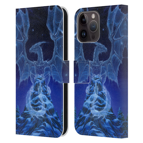 Ed Beard Jr Dragons Winter Spirit Leather Book Wallet Case Cover For Apple iPhone 15 Pro Max