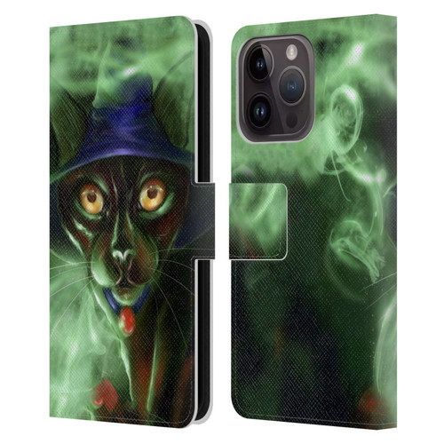 Ash Evans Black Cats Conjuring Magic Leather Book Wallet Case Cover For Apple iPhone 15 Pro