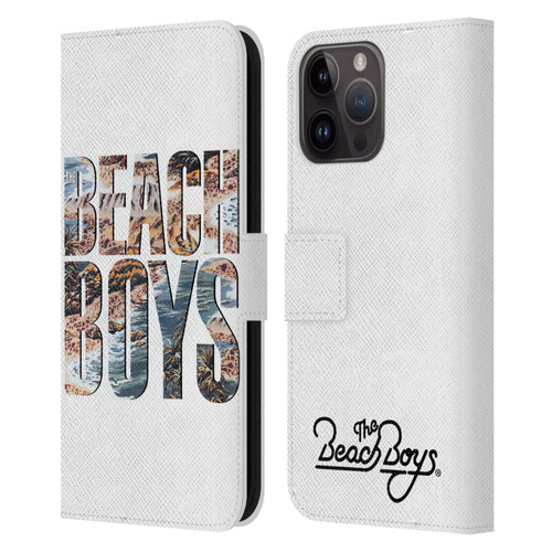 The Beach Boys Album Cover Art 1985 Logo Leather Book Wallet Case Cover For Apple iPhone 15 Pro Max