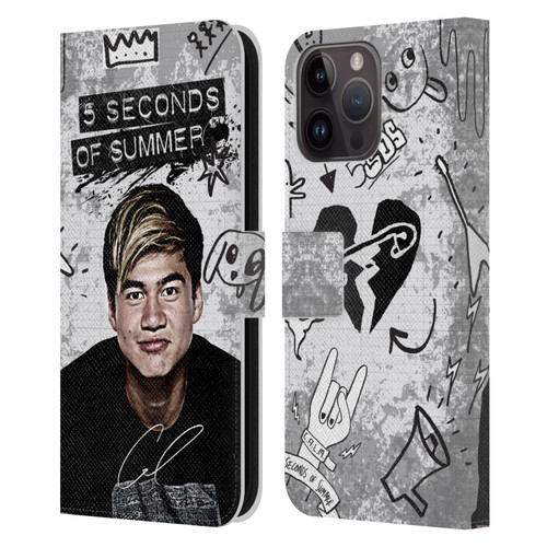 5 Seconds of Summer Solos Vandal Calum Leather Book Wallet Case Cover For Apple iPhone 15 Pro Max