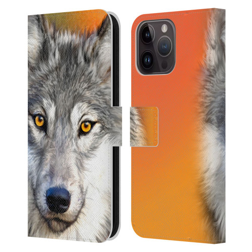 Aimee Stewart Animals Autumn Wolf Leather Book Wallet Case Cover For Apple iPhone 15 Pro Max