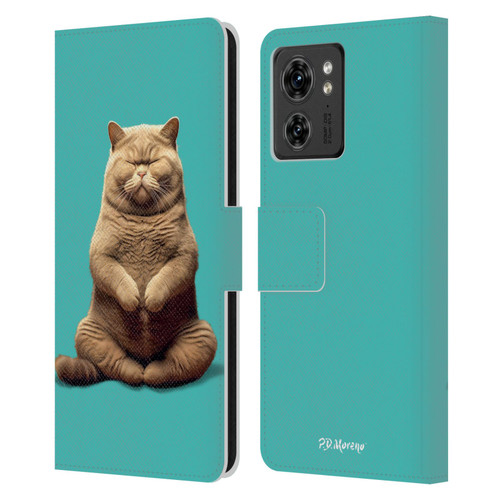 P.D. Moreno Furry Fun Artwork Sitting Cat Leather Book Wallet Case Cover For Motorola Moto Edge 40