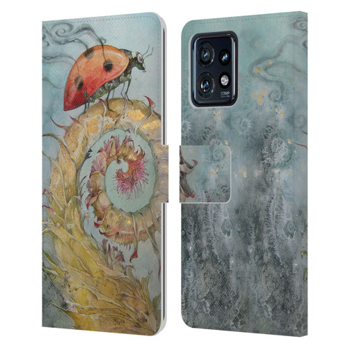 Stephanie Law Immortal Ephemera Ladybird Leather Book Wallet Case Cover For Motorola Moto Edge 40 Pro