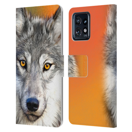 Aimee Stewart Animals Autumn Wolf Leather Book Wallet Case Cover For Motorola Moto Edge 40 Pro