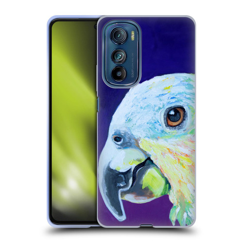 Jody Wright Animals Here's Looking At You Soft Gel Case for Motorola Edge 30