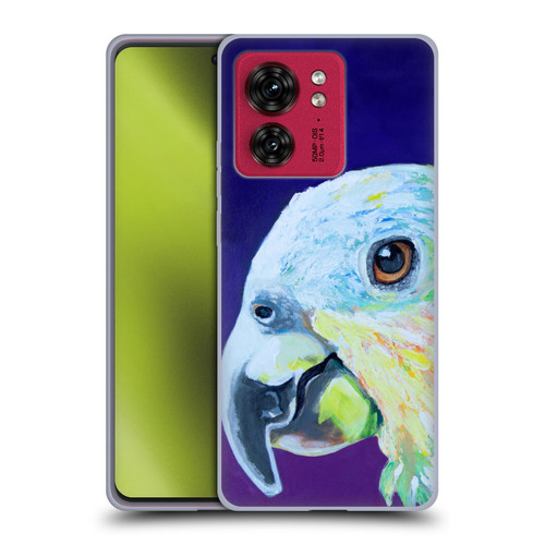 Jody Wright Animals Here's Looking At You Soft Gel Case for Motorola Moto Edge 40