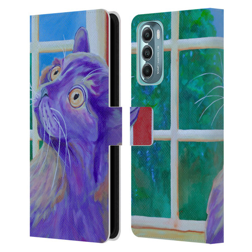 Jody Wright Dog And Cat Collection Just Outside The Window Leather Book Wallet Case Cover For Motorola Moto G Stylus 5G (2022)
