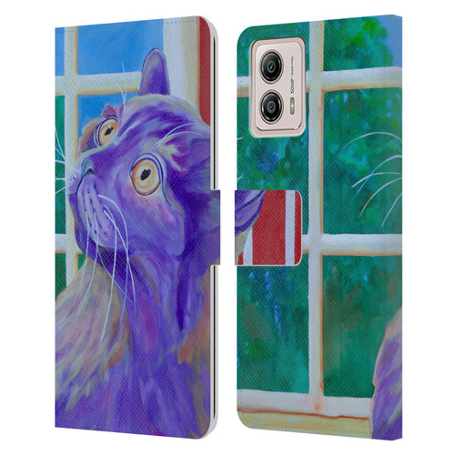 Jody Wright Dog And Cat Collection Just Outside The Window Leather Book Wallet Case Cover For Motorola Moto G53 5G