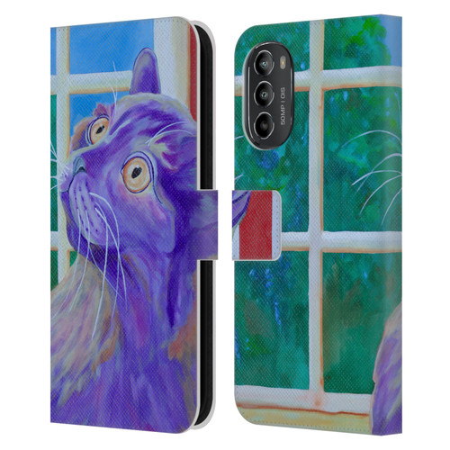 Jody Wright Dog And Cat Collection Just Outside The Window Leather Book Wallet Case Cover For Motorola Moto G82 5G
